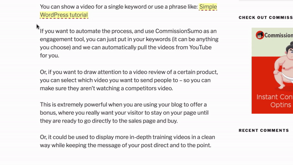 Commission Sumo - Video Campaign