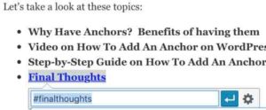 Adding Anchor Link To Text Final Thoughts 2