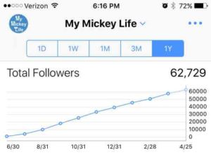 My Mickey Life Analytics