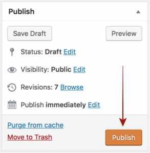 Publish Button WordPress