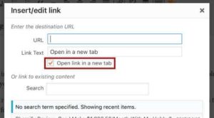 WordPress - Link Options - Open in New Tab
