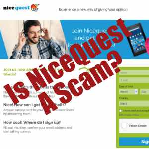 Is NiceQuest a scam