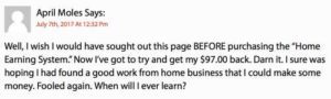 Home Earning System real testimony ivetriedthat 2