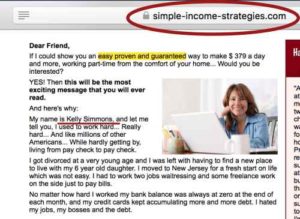 Simple Income Strategies Fake Owner