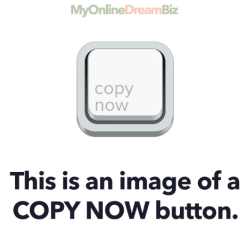 My Online Dream Biz copy button