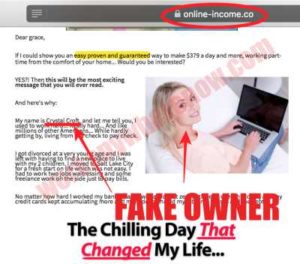 Online Income Fake Owner