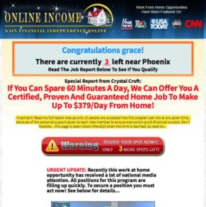 Online Income Sales Page