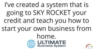 The Ultimate Business System's offer to you