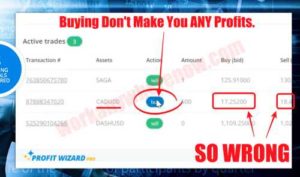 Profit Wizard Pro Fake Sample